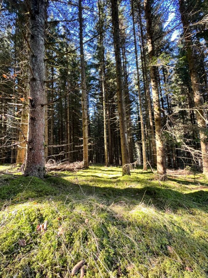 Haus Im Schwarzwald Βίλα Lenzkirch Εξωτερικό φωτογραφία