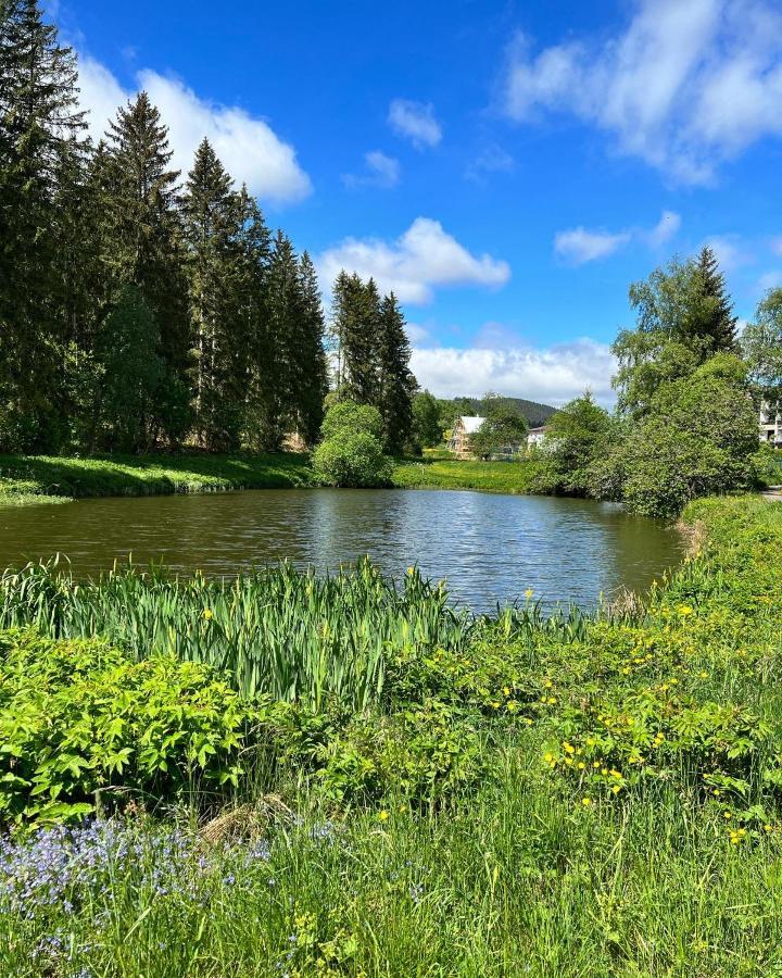 Haus Im Schwarzwald Βίλα Lenzkirch Εξωτερικό φωτογραφία
